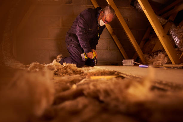 Professional Insulation Contractor in IN